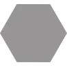 Rakuni grey